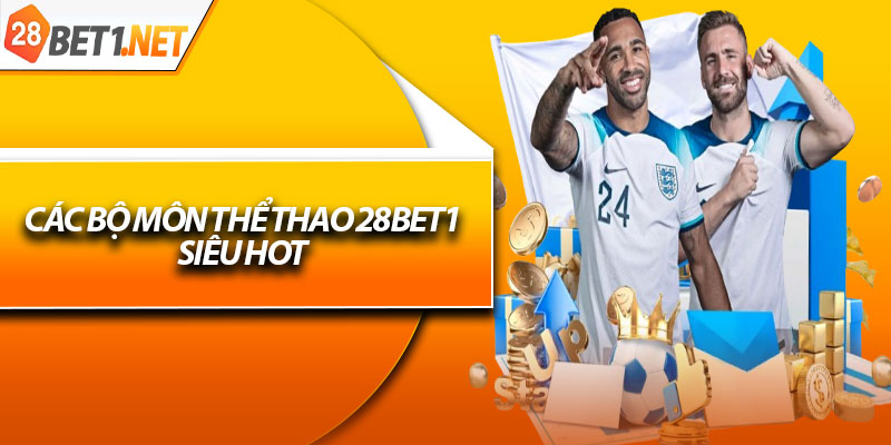 Các bộ môn thể thao 28bet1 siêu hot 