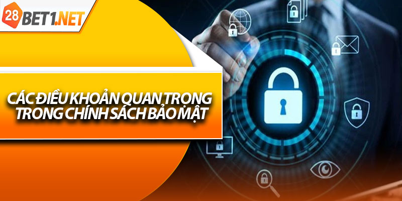 Các điều khoản quan trọng trong chính sách bảo mật