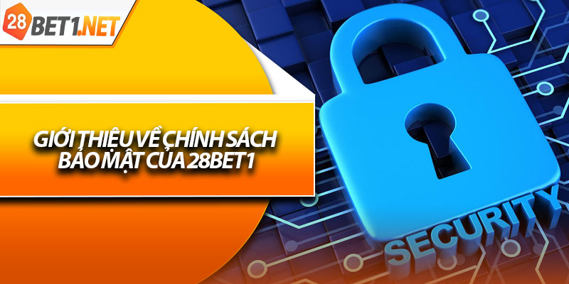 Giới thiệu về chính sách bảo mật của 28bet1