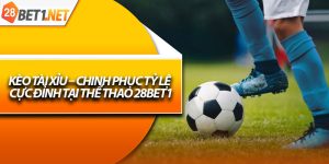 Kèo Tài Xỉu – Chinh Phục Tỷ Lệ Cực Đỉnh Tại Thể Thao 28Bet1