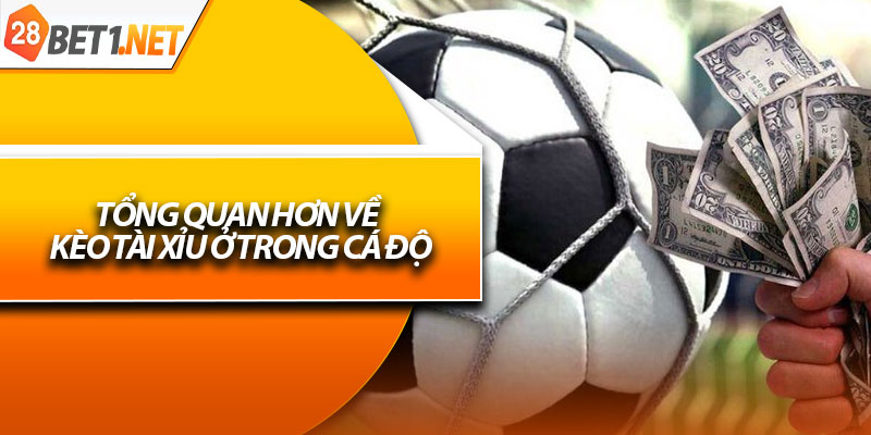 Tổng quan hơn về kèo tài xỉu ở trong cá độ